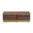 Baxton Studio Cormac Transitional  Wood and Gold Metal 2-Drawer Coffee Table