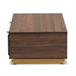 Baxton Studio Cormac Transitional  Wood and Gold Metal 2-Drawer Coffee Table