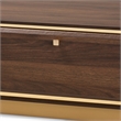 Baxton Studio Cormac Transitional  Wood and Gold Metal 2-Drawer Coffee Table