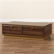Baxton Studio Cormac Transitional  Wood and Gold Metal 2-Drawer Coffee Table