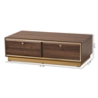 Baxton Studio Cormac Transitional  Wood and Gold Metal 2-Drawer Coffee Table