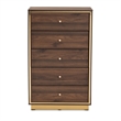 Baxton Studio Cormac Transitional Wood and Gold Metal 5-Drawer Storage Chest