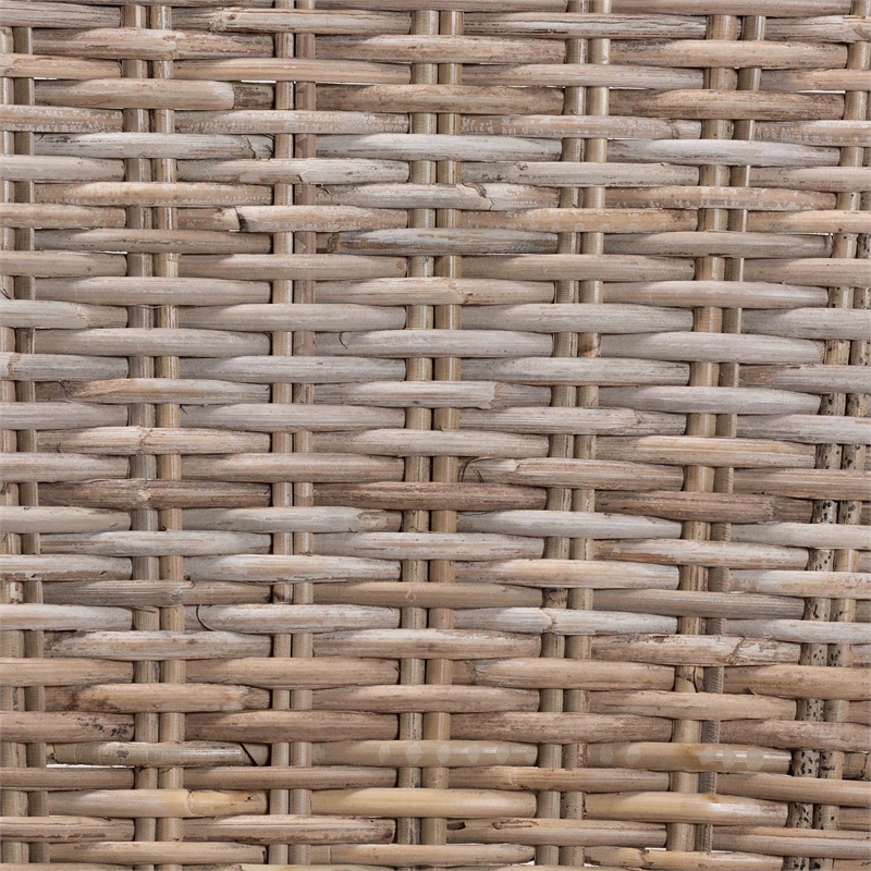 Baxton Studio Magy Modern Rattan and Brown Wood Dining Chair