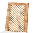 Baxton Studio Argos Modern Natural Brown Rattan 2-Piece Dining Chair Set