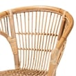 Baxton Studio Alleta Modern Natural Brown Rattan 2-Piece Dining Chair Set