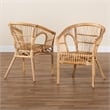 Baxton Studio Alleta Modern Natural Brown Rattan 2-Piece Dining Chair Set