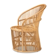 Baxton Studio Narva Modern Bohemian Natural Brown Rattan Accent Chair