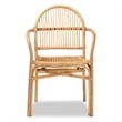 Baxton Studio Tugera Modern Bohemian Natural Brown Rattan Dining Chair
