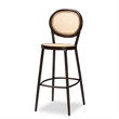 Baxton Studio Thalia Modern Dark Brown Metal and Rattan Outdoor Bar Stool