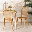 Baxton Studio Wina Modern Bohemian Natural Brown Rattan 2-Piece Dining Chair Set