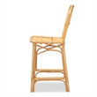 Baxton Studio Ivora Modern Bohemian Natural Brown Rattan Counter Stool