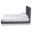 Baxton Studio Serrano Gray Velvet Fabric and Gold Metal Full Size Platform Bed