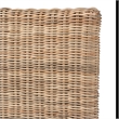 Baxton Studio Cantara Bohemian Natural Rattan Queen Size Standalone Headboard