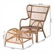Baxton Studio Lamaria Brown Antique Rattan 2-Piece Chair and Footstool Set