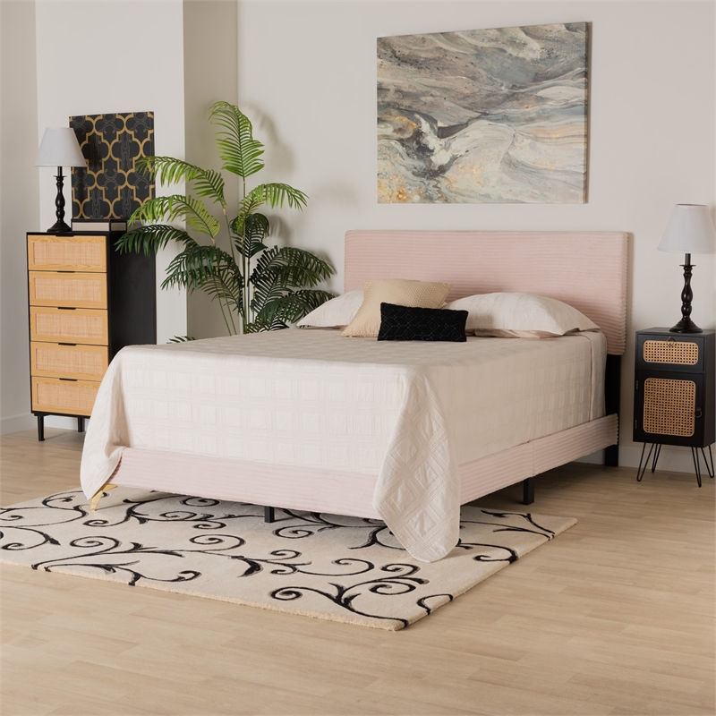 Baxton Studio Abberton Light Pink Velvet and Gold Metal Queen Size Panel Bed