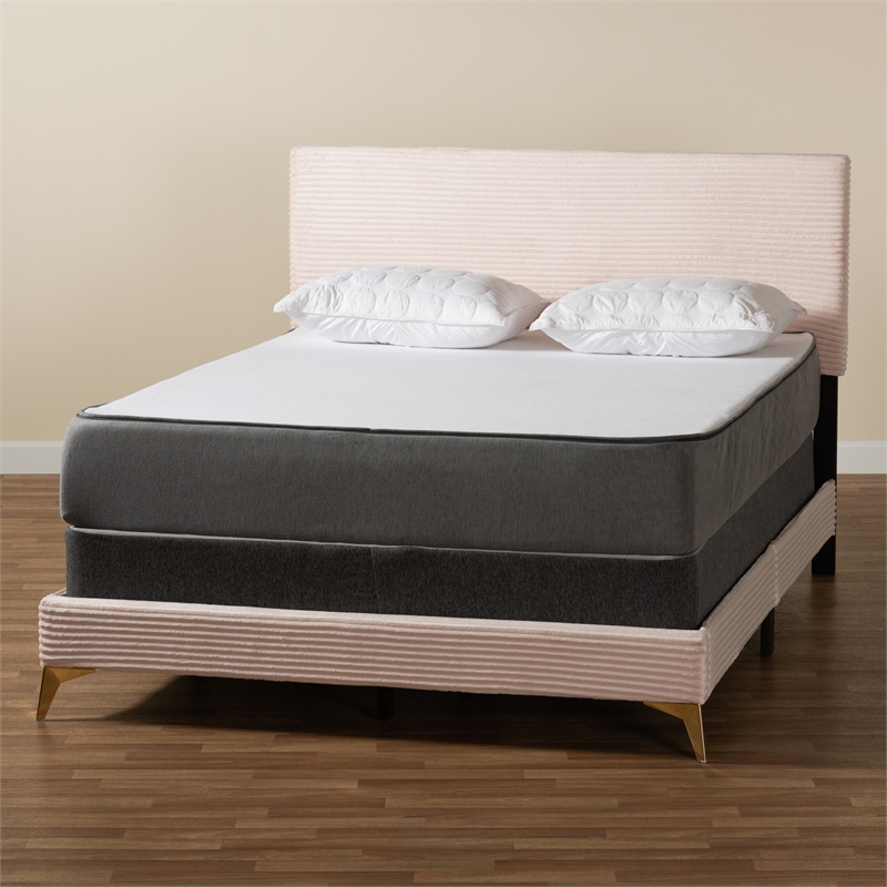 Baxton Studio Abberton Light Pink Velvet and Gold Metal Queen Size Panel Bed