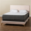 Baxton Studio Abberton Light Pink Velvet and Gold Metal Queen Size Panel Bed