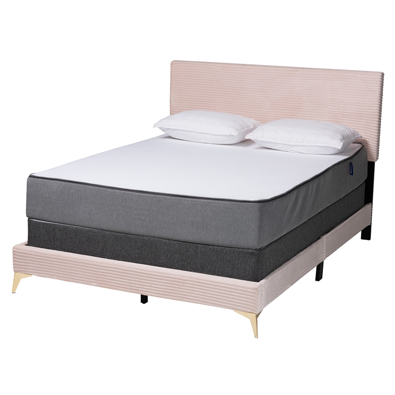 Baxton Studio Abberton Light Pink Velvet and Gold Metal Queen Size Panel Bed