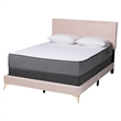 Baxton Studio Abberton Light Pink Velvet and Gold Metal Queen Size Panel Bed