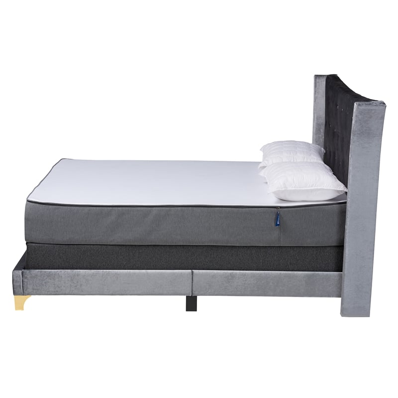 Baxton Studio Easton Grey Velvet and Gold Metal Queen Size Panel Bed