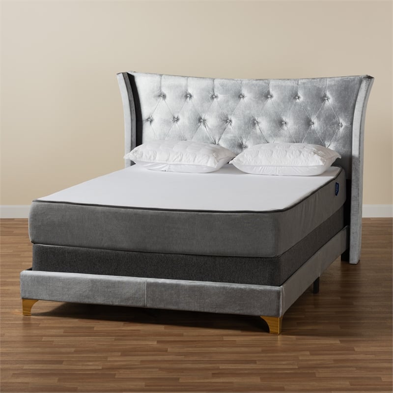 Baxton Studio Easton Grey Velvet and Gold Metal Queen Size Panel Bed
