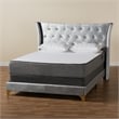 Baxton Studio Easton Grey Velvet and Gold Metal Queen Size Panel Bed