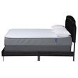 Baxton Studio Oxley Black Velvet and Gold Metal Queen Size Panel Bed