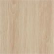 Baxton Studio Caterina Brown Wood and Natural Rattan 2-Door Storage Cabinet
