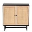 Baxton Studio Declan Brown Wood and Natural Rattan 2-Door Storage Cabinet
