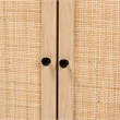 Baxton Studio Declan Brown Wood and Natural Rattan 2-Door Storage Cabinet