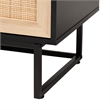 Baxton Studio Declan Brown Wood and Natural Rattan 2-Door Storage Cabinet