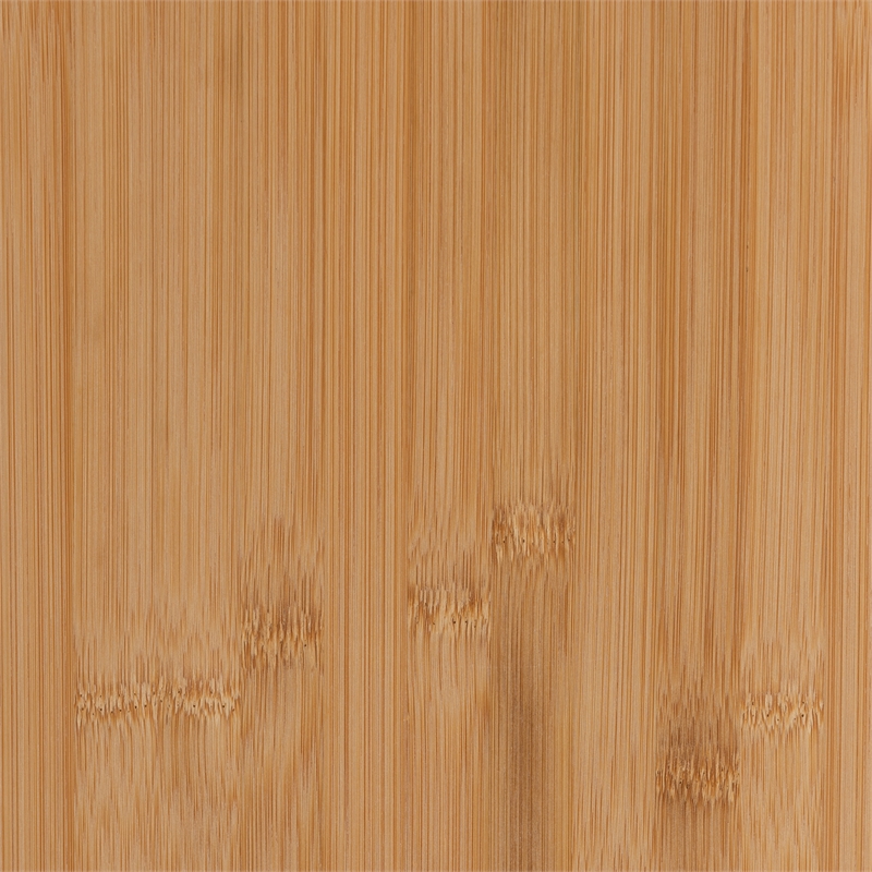 Baxton Studio Naresh Natural Brown Bamboo Wood 2-Drawer End Table