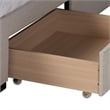 Baxton Studio Coronado Beige Fabric Queen Size 3-Drawer Storage Platform Bed