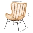 Baxton Studio Colorado Natural Brown Rattan and Black Metal Accent Chair