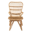 Baxton Studio Earvin Natural Brown Rattan 2-Piece Armchair and Footstool Set