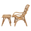 Baxton Studio Earvin Natural Brown Rattan 2-Piece Armchair and Footstool Set