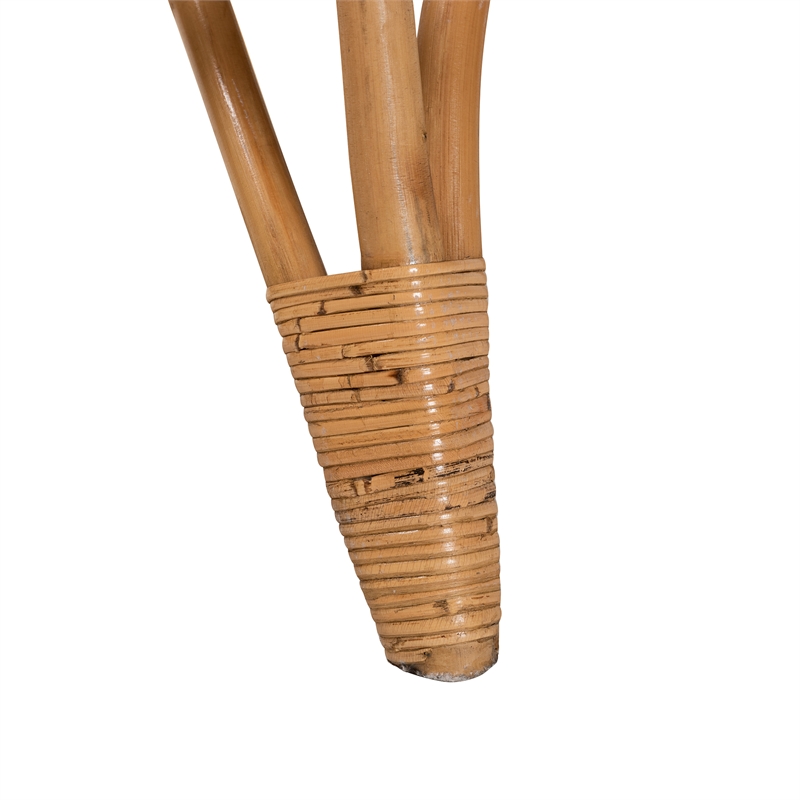 Baxton Studio Earvin Natural Brown Rattan 2-Piece Armchair and Footstool Set