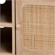 Baxton Studio Elsbeth Brown Finished Wood and Natural Rattan 2-Door TV Stand