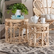 Baxton Studio Natural Brown Rattan 2-Piece Nesting End Table Set
