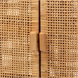 Baxton Studio Vivan Natural Brown Rattan and Mahogany Wood Storage Cabinet