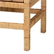 Baxton Studio Vivan Natural Brown Rattan and Mahogany Wood Storage Cabinet