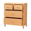 Baxton Studio Vaere Natural Brown Rattan and Mahogany Wood Storage Cabinet