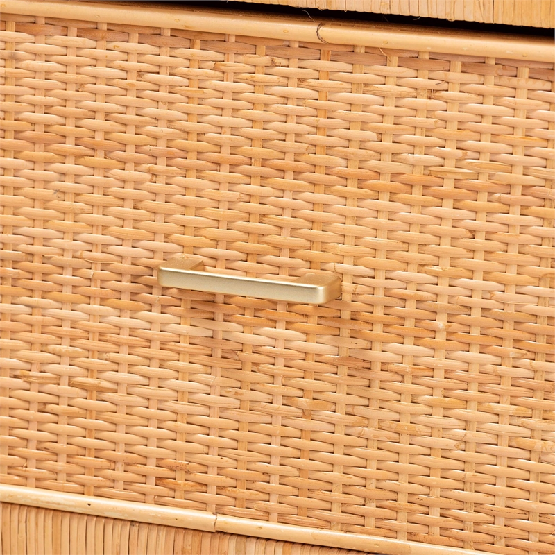Baxton Studio Vaere Natural Brown Rattan and Mahogany Wood Storage Cabinet