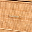 Baxton Studio Vaere Natural Brown Rattan and Mahogany Wood Storage Cabinet