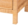Baxton Studio Vaere Natural Brown Rattan and Mahogany Wood Storage Cabinet
