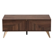 Baxton Studio Graceland Walnut Brown Finished Wood 2-Drawer Coffee Table
