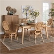 Baxton Studio Iris Modern Bohemian Natural Brown Rattan 5-Piece Dining Set