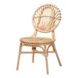 bali & pari Iris Modern Bohemian Natural Brown Rattan Dining Chair