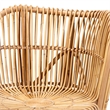 Baxton Studio Nagoya Rattan Lounge Chair with Curved Backrest in Brown