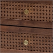 Baxton Studio Alyssa Brown Wood 2-Drawer Nightstand Woven with Rattan